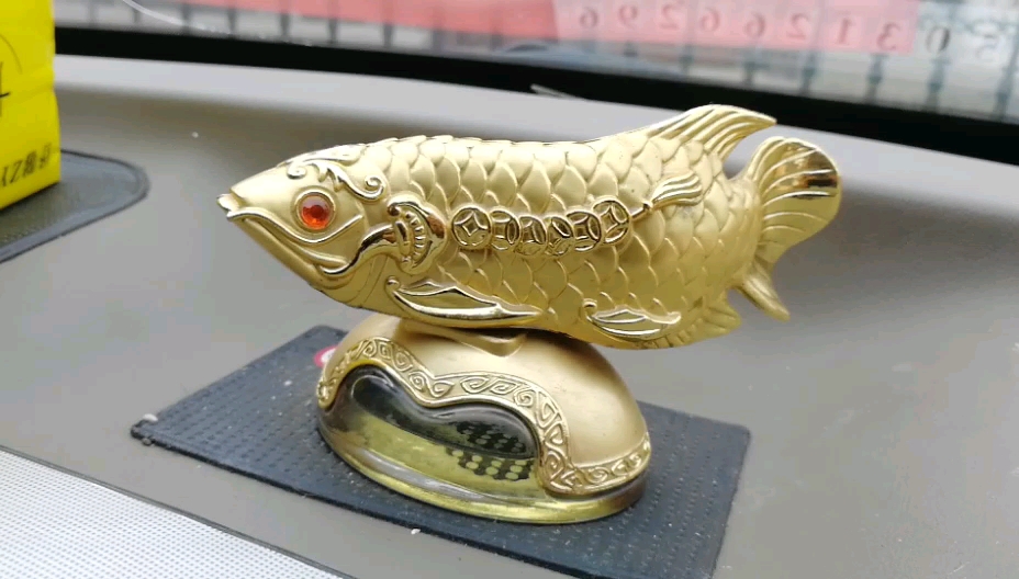Kowloon Tank (Dragon Fish Tank) Perfect Golden Dragon Fish