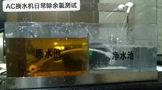 Siamese Tigerfish Send a daily quiz