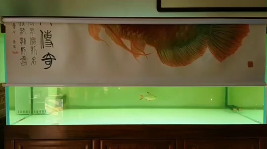 Original hand-painted meticulous dragon fish rolling shutter